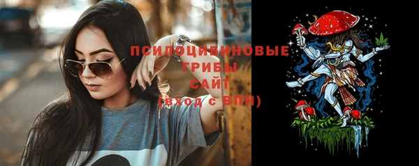 гидра Козельск