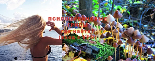 гидра Козельск