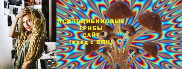 мяу мяу кристалл Корсаков