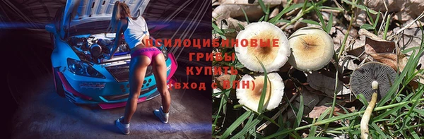 гидра Козельск