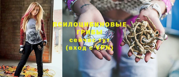 ПСИЛОЦИБИНОВЫЕ ГРИБЫ Костерёво