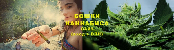 гидра Козельск