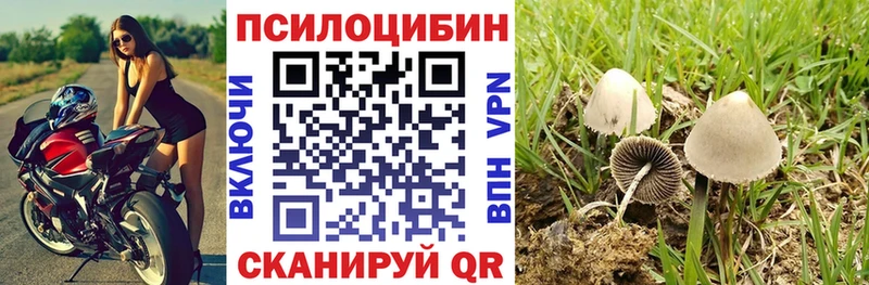 купить закладку  MEGA зеркало  Псилоцибиновые грибы GOLDEN TEACHER  Кыштым 
