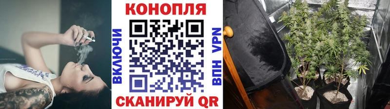 Марихуана Amnesia Кыштым